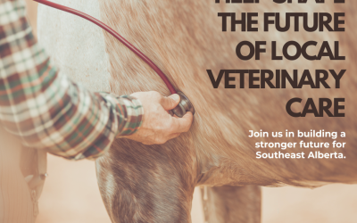 New Fund: Southeast Alberta Veterinary Medicine Scholarship
